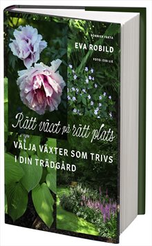 Rätt växt på rätt plats - välja växter som trivs i din trädgård